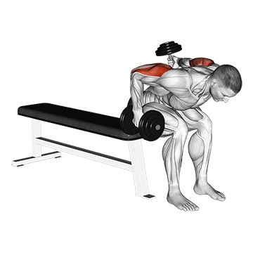 dumbbell seated bent over alternate kickback demonstration