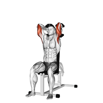 dumbbells seated triceps extension demonstration