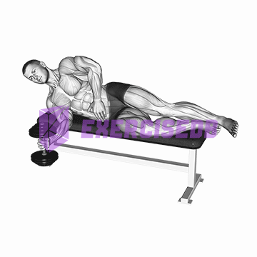 dumbbell lying supination