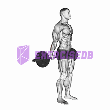 barbell standing back wrist curl