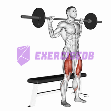 barbell bench squat img