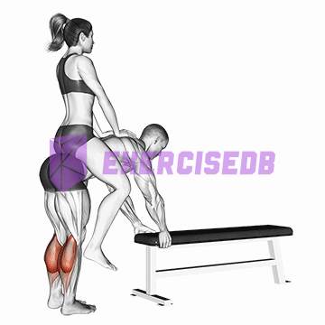 weighted donkey calf raise