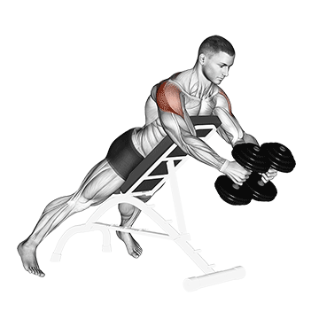 dumbbell reverse fly demonstration