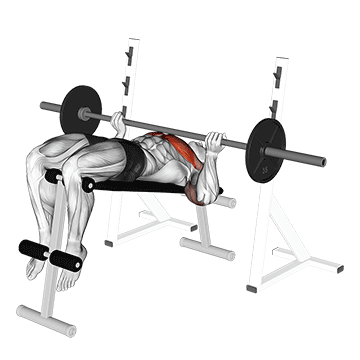barbell reverse grip decline bench press demonstration