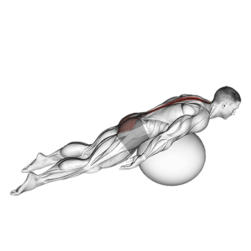 exercise ball back extension with knees off ground demonstration