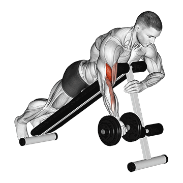dumbbell one arm prone curl demonstration