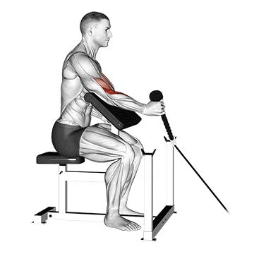cable rope one arm hammer preacher curl demonstration