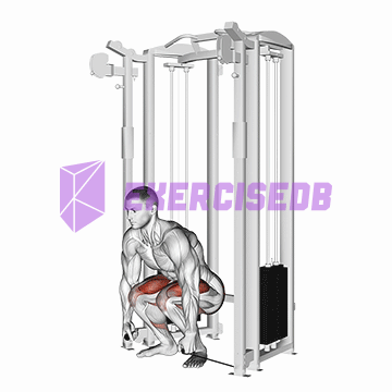 cable deadlift