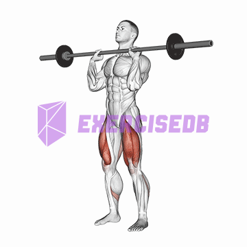 barbell front chest squat img