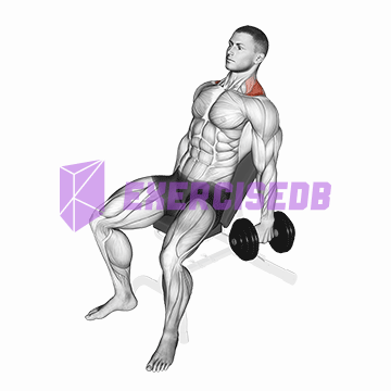 dumbbell incline shrug img
