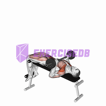 barbell press sit-up