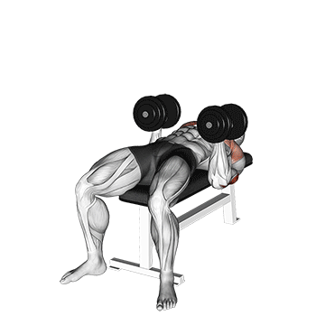 dumbbell twisting bench press demonstration