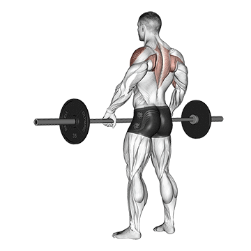 barbell wide-grip upright row demonstration