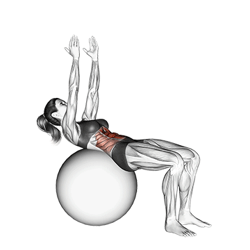 crunch (on stability ball, arms straight) demonstration
