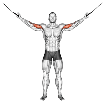 cable overhead curl demonstration