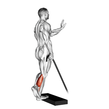 band single leg calf raise demonstration