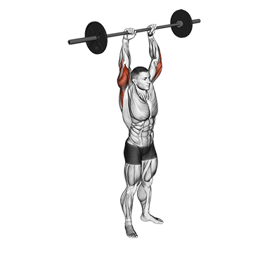 barbell standing overhead triceps extension demonstration
