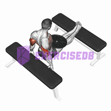 weighted bench dip