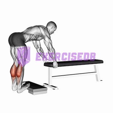 donkey calf raise