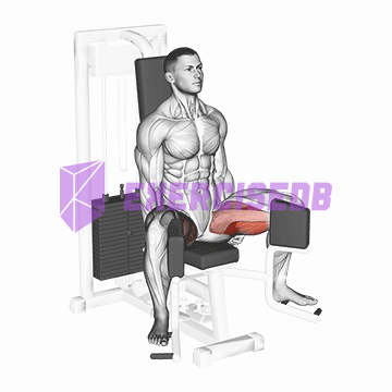 lever seated hip adduction