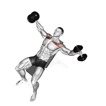 dumbbell incline breeding demonstration