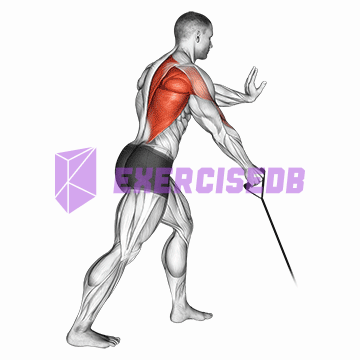 band one arm standing low row img