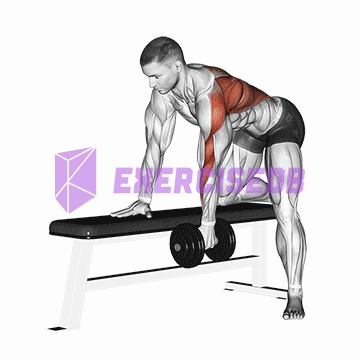 dumbbell one arm bent-over row