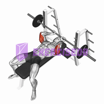 barbell lying extension