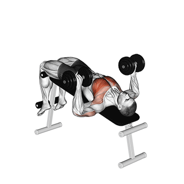 dumbbell decline bench press demonstration