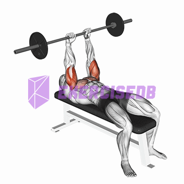 barbell jm bench press img
