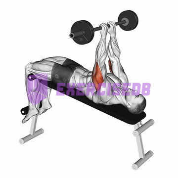 barbell decline close grip to skull press img