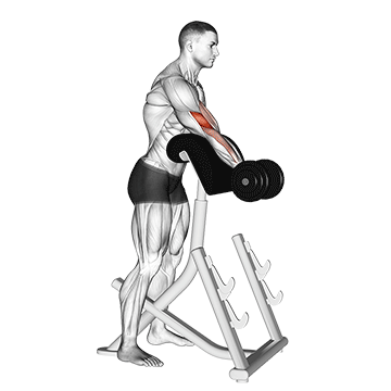 dumbbell standing preacher curl demonstration