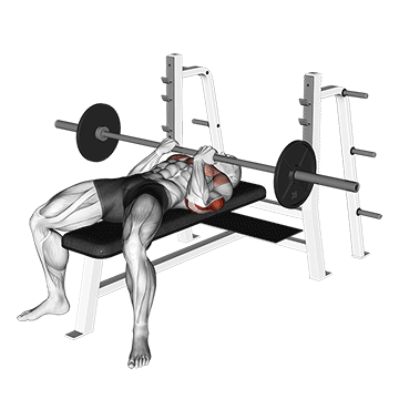 barbell reverse close-grip bench press demonstration