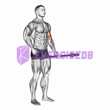barbell alternate biceps curl img