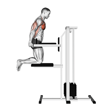 assisted chest dip (kneeling) demonstration