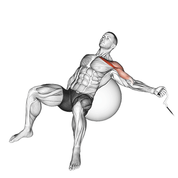 cable one arm incline fly on exercise ball demonstration