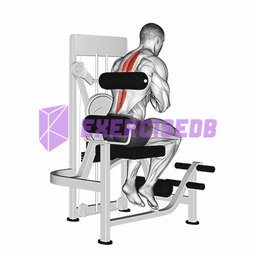 lever back extension