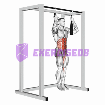 arm slingers hanging bent knee legs img