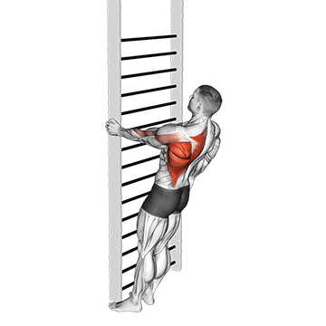 bodyweight standing close-grip one arm row demonstration