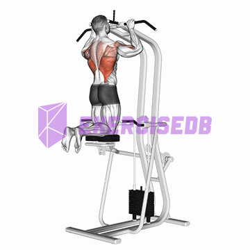 assisted pull-up img