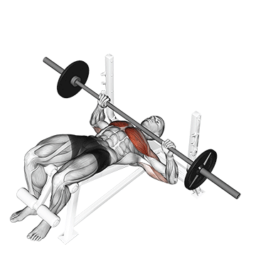 barbell decline bench press demonstration