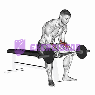 barbell wrist curl v. 2