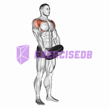 weighted front raise