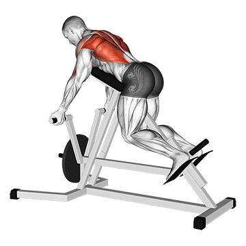 lever reverse t-bar row demonstration