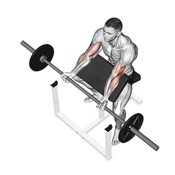 barbell preacher curl demonstration