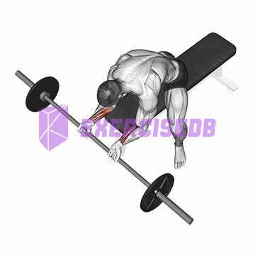 barbell wrist curl