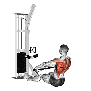 cable floor seated wide-grip row demonstration