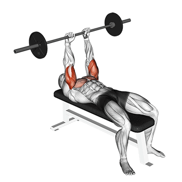 barbell jm bench press demonstration