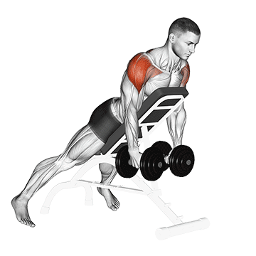 dumbbell incline rear lateral raise demonstration