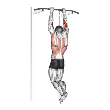 biceps pull-up demonstration